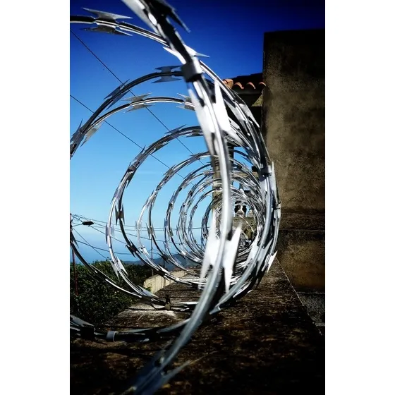 Concertinas Acero Galvanizado 45cm 6 Mts De Largo