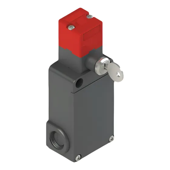Interruptor De Seguridad Fs2898d230 Pizzato