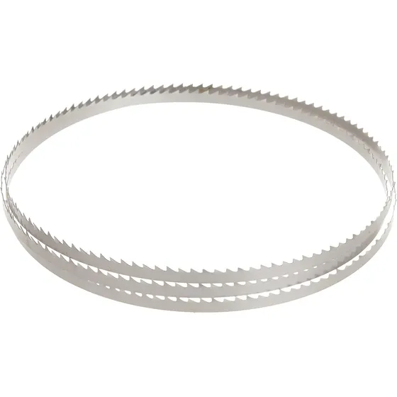 Hoja De Sierra De Cinta Bosch Bs5618-6w 56-1/8'' 6tpi