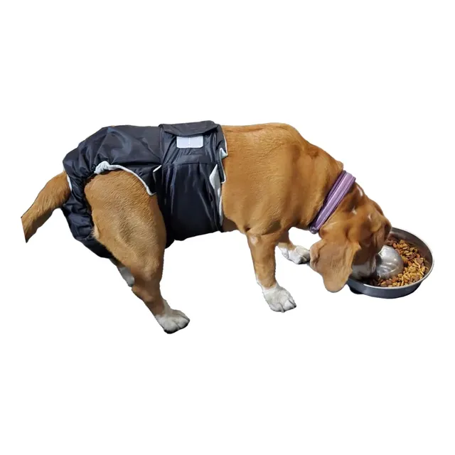 Pañales Reutilizables Perros Grandes
