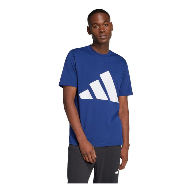 Camiseta Essentials Big Logo adidas Camiseta Essentials Big Logo adidas