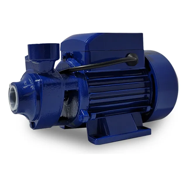 Bomba De Agua Roccia 1/2hp