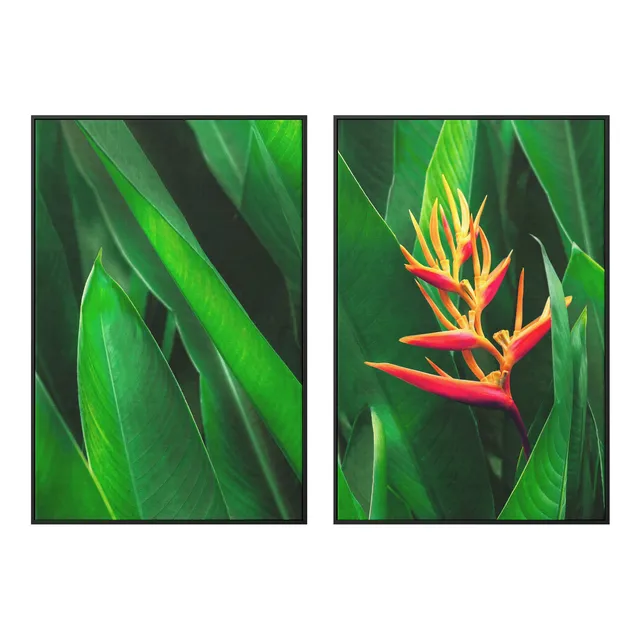 Duo Quadros Heliconia Psittacorum Com 2 Telas Canvas 60x90
