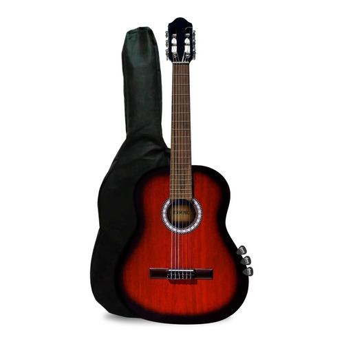 Guitarra Criolla Clasica Con Funda Puas Ideal Para Aprender