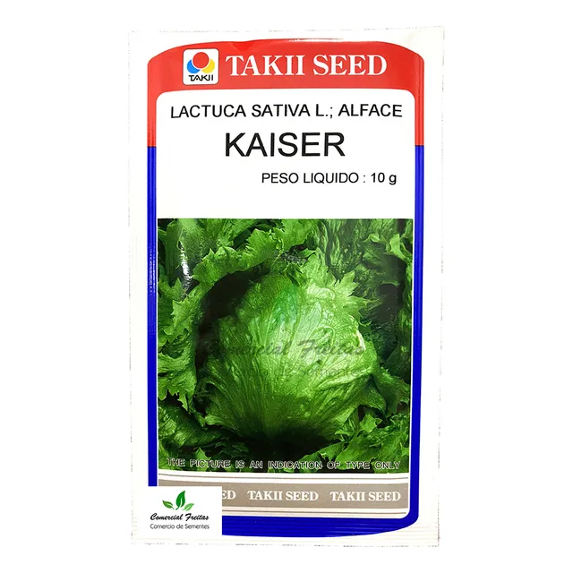 Sementes De Alface Americana Kaiser Com 10 Gramas