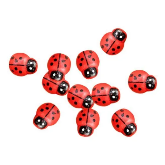20 Mini Mariquita Para Decoracion Jardin Hada Micro