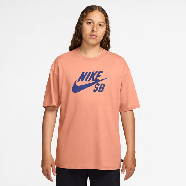 Camiseta Nike Sb Masculina Camiseta Nike Sb Masculina