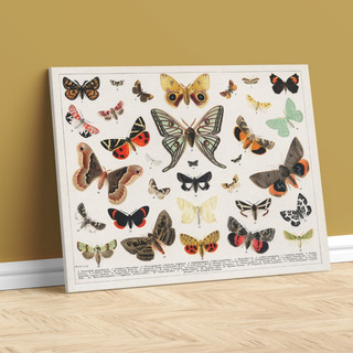 Set De Cuadros Vintage Láminas Arte Mapas De 50x40cm 3 Pz Set De Cuadros Vintage Láminas Arte Mapas De 50x40cm 3 Pz