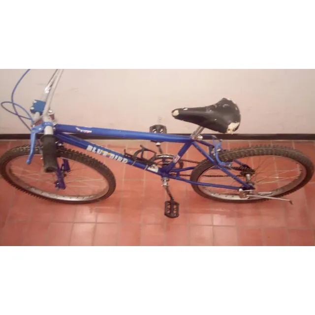 Bicicleta Bluebird Rin 24 Verde Para Niños