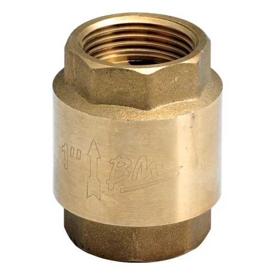 Válvula Check 1 Pulgada. Bm