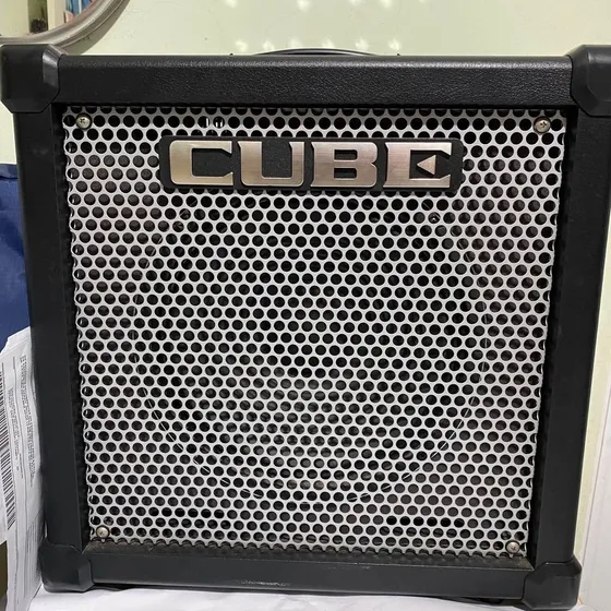 Amplificador De Guitarra Roland Cube 40-gx 40w