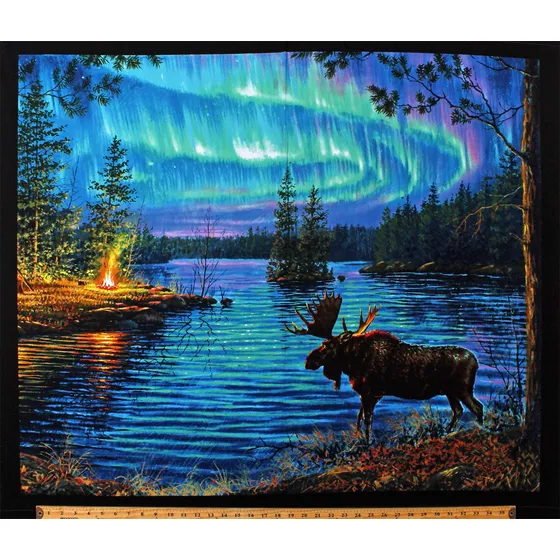 Panel 13.8 In X 17.3 Para Luz Norte Paisajismo Camping Lago
