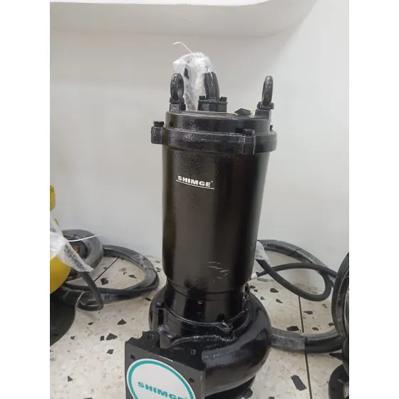 Bomba De Achique Para Aguas Residuales 10 Hp. 3 Ph 220/440