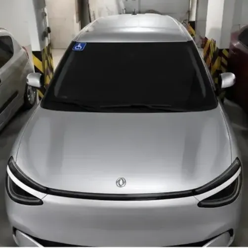 Dongfeng Box 2026 E2 (42,3kwh) 430km
