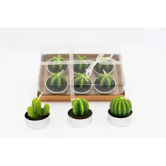 Velas Cactus Surtidas