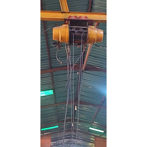 Puente Grúa Polipasto Italiano De 1500 Kilogramos