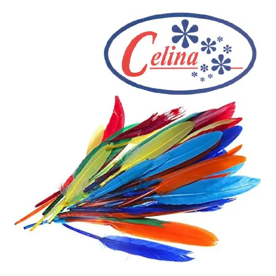Plumas Colores Surtidos Fdax60un F009 Barrilito