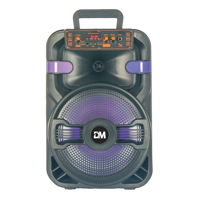 Dm--1011 Bocina 10  Bluetooth Con Luz Led Jack 3.5