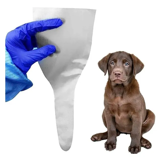 Inseminación Artificial Canina