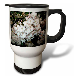 Taza De Viaje De Acero Inoxidable De Laurel De Montaña 3dros Taza De Viaje De Acero Inoxidable De Laurel De Montaña 3dros