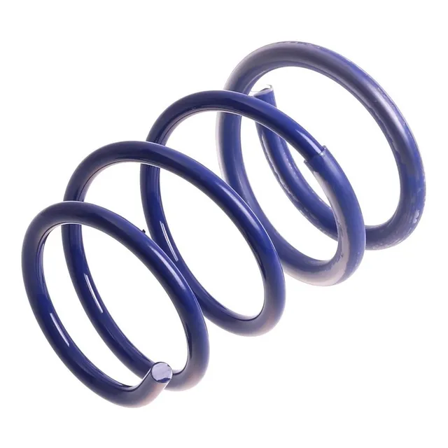 Resortes Progresivos Agkit Delanteros Clio Mio 1.2 16v