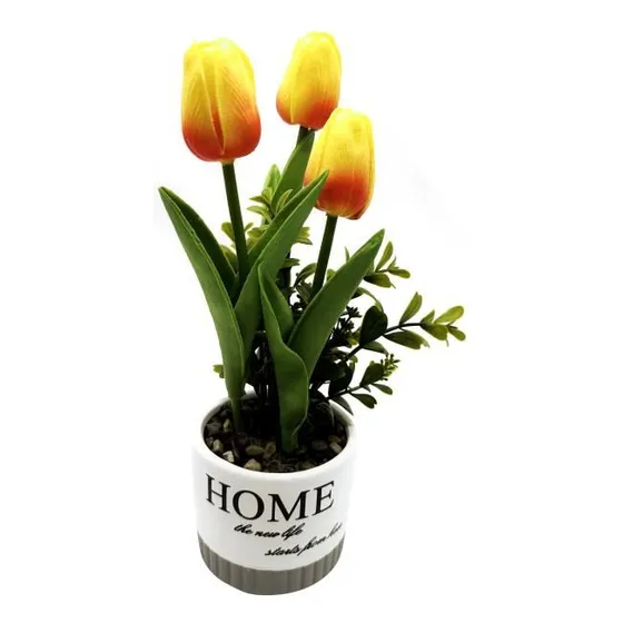 Planta Con 3 Tulipanes, Maceta De Cerámica, Coloresen
