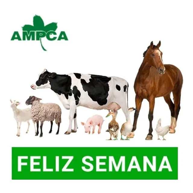 Rumiante Multiproposito Cerdos Gallinas Roedores Y Más