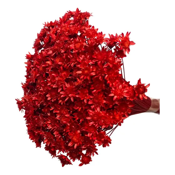 Buque Arranjo Flores Artificiais Sintéticas Realistas Secas Cor Vermelho