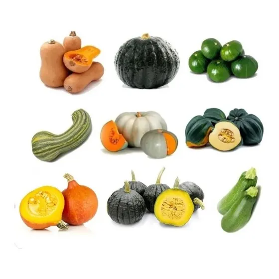 Combo Semillas De Calabazas Y Zapallos  9 Variedades Premium