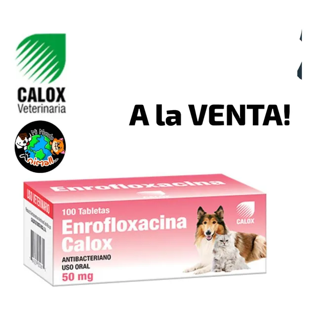 Enrrofloxacina Perros Y Gatos