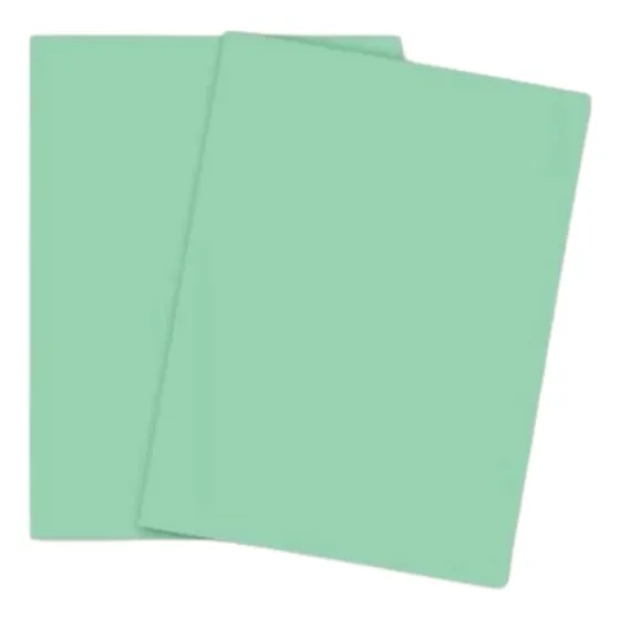 Cartulina Bristol Octavo 1/8 X 200 Und Verde Pastel