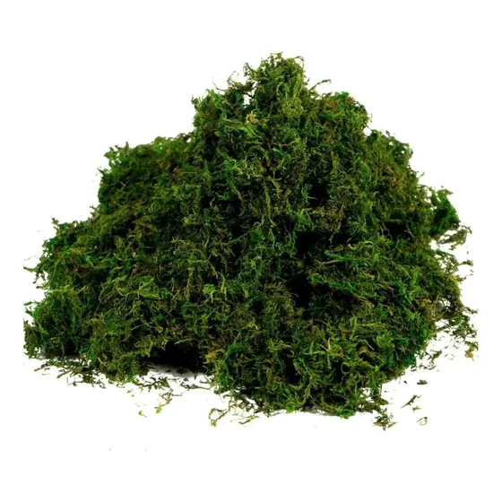 Musgo Verde Desidratada Decoração Arranjo Flores Artificiais