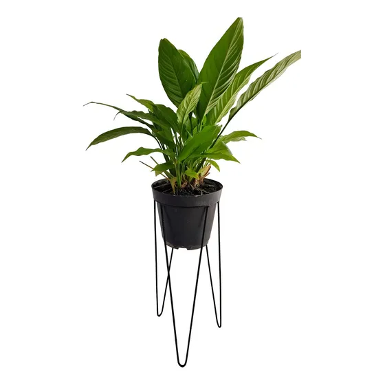 Suporte Tripé P/ Vaso De Chão Médio 16x45 Cm Plantas Ferro