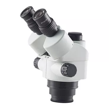 Microscopios y kits