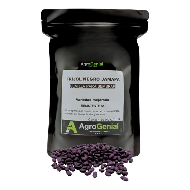 Frijol Negro Jamapa 1kg Semilla Para Sembrar Fértil
