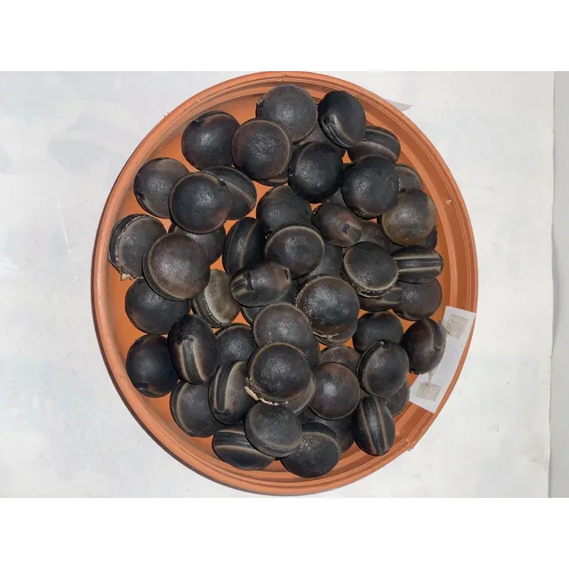 Pepa De Zamuro