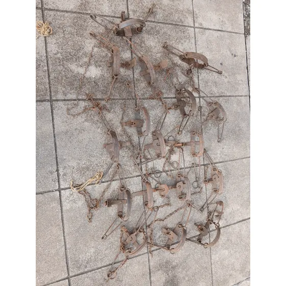Trampa De Hierro Para Nutrias Lote De 17