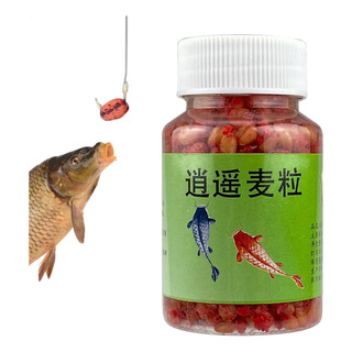 Grano De Trigo Para Cebo De Peces Cebo De Pesca De Granos De Grano De Trigo Para Cebo De Peces Cebo De Pesca De Granos De