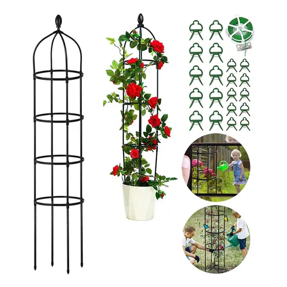 Soporte Tutor Plantas Trepadoras Enredaderas Rosales Obelisc
