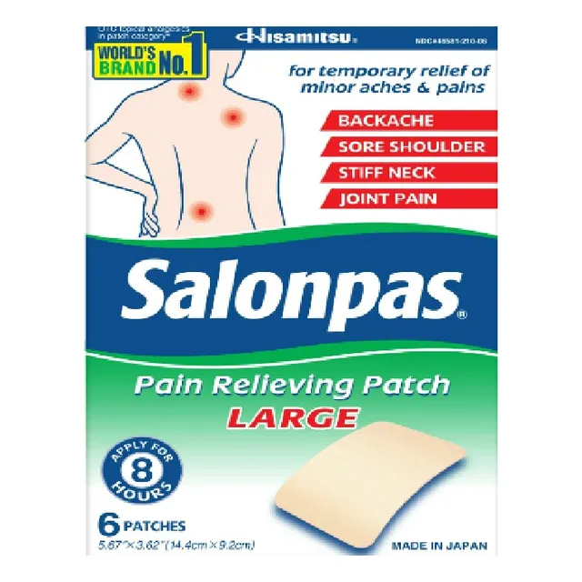 Salonpas Parches Grandes 6 Unid