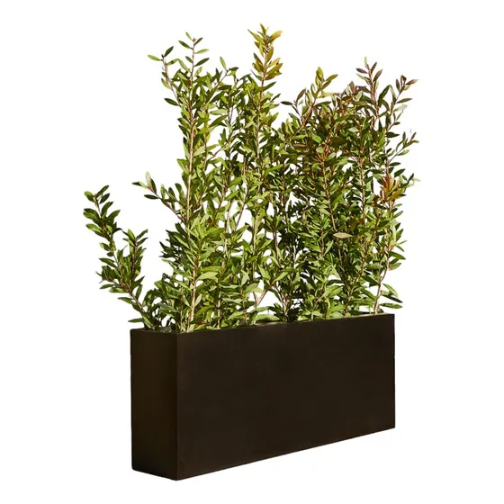 Maceta Jardinera Rotomoldeado 100 X 40 X 20 Cm