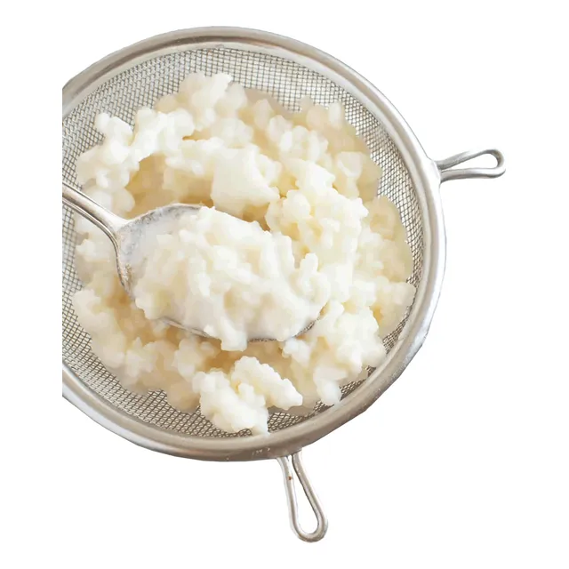 Kefir Original, Nódulos Bulgaros. Mejora Tu Microbiota