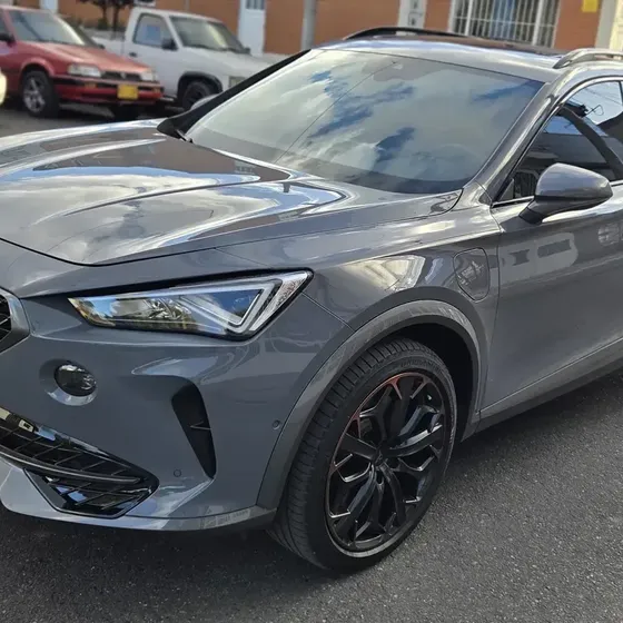 Cupra Formentor 2024 2.0 Tsi Metalizado Dsg