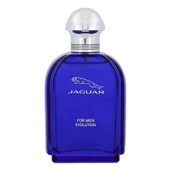 Jaguar For Men Evolution Edt 100ml