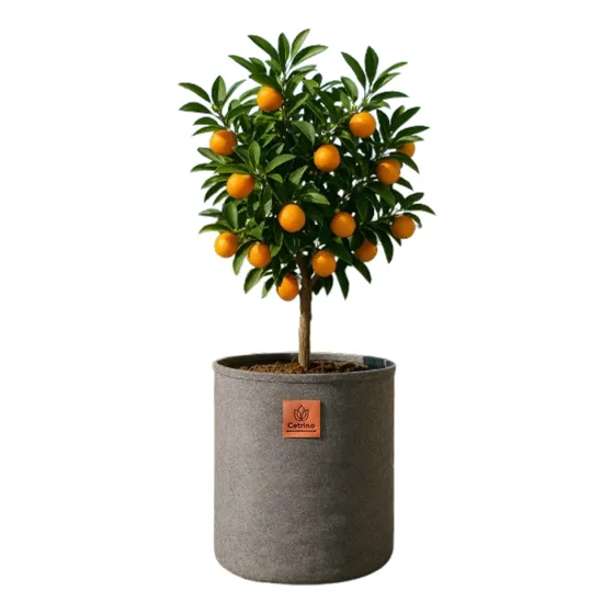 Maceta Tela Geotextil 100 Litros Redonda Cetrino Eco 100l.