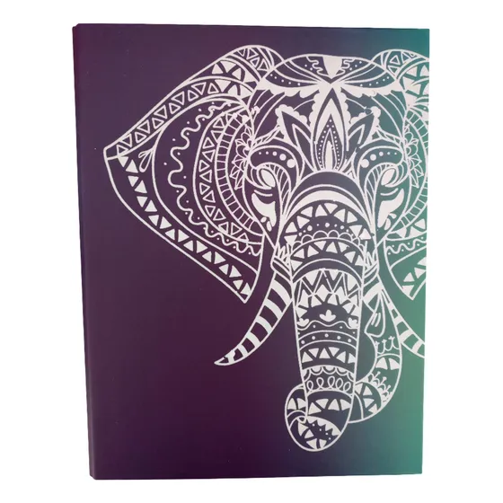 Carpeta A4 Premium 3 Anillos + 120 Hojas Ray Animals No 2