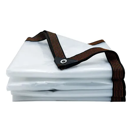 3×4mts Lona Transparente Resistente Impermeable +10m Cuerda