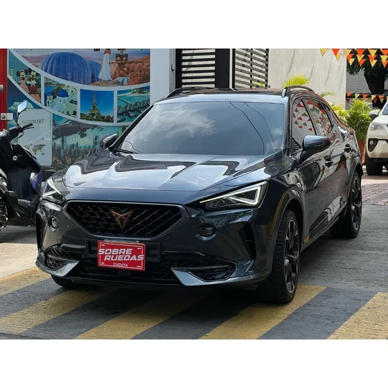 Cupra Formentor 2.0 Tsi Mate Dsg