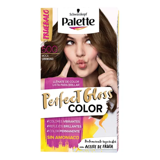 Tinte Palette Perfect Gloss 500 Moca Cremoso Sin Amoniaco