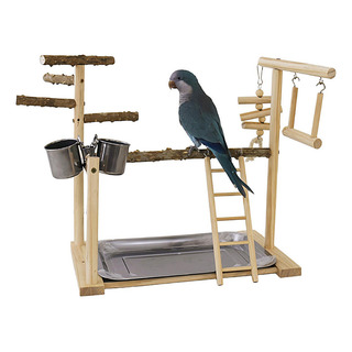 Zona De Juegos Para Loros Gimnasio Para Juegos De Loros Gimn Zona De Juegos Para Loros Gimnasio Para Juegos De Loros Gimn
